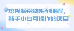 短视频带货系列课程,新手小白可操作的项目-互联网资源大全网