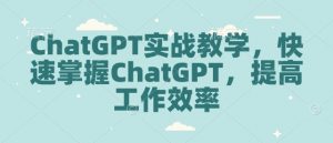 ChatGPT实战教学,快速掌握ChatGPT,提高工作效率-互联网资源大全网