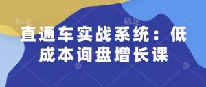 直通车实战系统：低成本询盘增长课，让个人通过技能实现升职加薪，让企业低成本获客，订单源源不断-互联网资源大全网