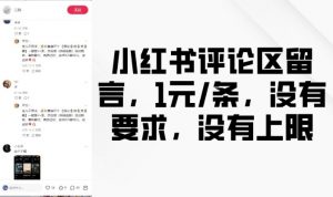 小红书评论区留言,1元条,没有要求,没有上限-互联网资源大全网
