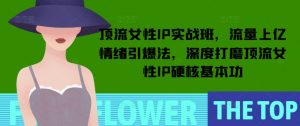 顶流女性IP实战班,流量上亿情绪引爆法,深度打磨顶流女性IP硬核基本功-互联网资源大全网