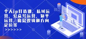 个人ip打造课，私域运营，公众号运营，知乎运营，底层逻辑和方向定位等-互联网资源大全网