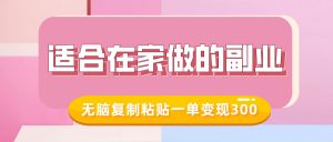 适合在家做的副业,小红书冷知识账号,无脑复制粘贴一单变现300-互联网资源大全网
