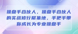 操盘手合伙人,操盘手合伙人的实战修行聚集地,手把手带你成长为专业操盘手-互联网资源大全网