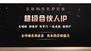 互联网项目天花板，超级合伙人IP，全网都在割韭菜，我来教你做镰刀【仅揭秘】-互联网资源大全网
