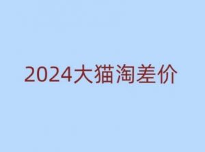 2024版大猫淘差价课程,新手也能学的无货源电商课程-互联网资源大全网