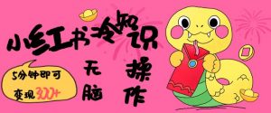 小红书冷知识账号,无脑复制粘贴,5分钟即可变现3张-互联网资源大全网