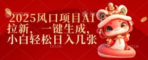 2025风口项目AI拉新,一键生成,小白轻松日入几张-互联网资源大全网