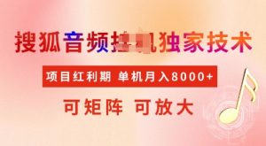全网首发搜狐音频挂JI独家技术,项目红利期,可矩阵可放大,稳定月入8k【揭秘】-互联网资源大全网