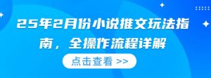 25年2月份小说推文玩法指南，全操作流程详解-互联网资源大全网