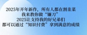 2025年开年新作,所有人都在割韭菜,我来教你做“镰刀” 2025让支持我的好兄弟们都可以通过“知识付费”拿到满意的成绩【揭秘】-第一资源库