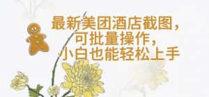 【轻云】最新美团酒店截图,可批量操作,小白也能轻松上手-互联网资源大全网
