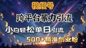 跨平台暴力引流,私域完美闭环,日引500+精准创业粉-互联网资源大全网