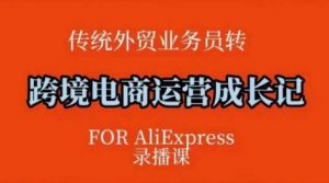 跨境电商速卖通运营课,运营方法论+后台实操,逻辑清晰-互联网资源大全网
