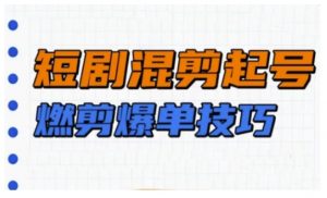 短剧实操教学,短剧混剪起号燃剪爆单技巧-互联网资源大全网