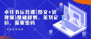 小红书运营课(图文+短视频)基础规则、策划定位、流量密码-互联网资源大全网