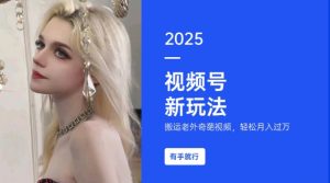 搬运老外奇葩视频，撸视频号分成计划收益，每天只需一小时，新手小白轻松月入过W-互联网资源大全网