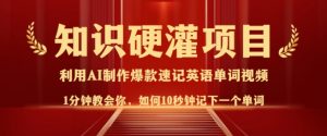 知识硬灌,10秒钟让你记住一个单词,3分钟一个视频,日入多张不是梦-第一资源库
