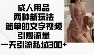 成人用品两种新玩法，简单的文字视频引爆流量，一天引流私域300+-互联网资源大全网