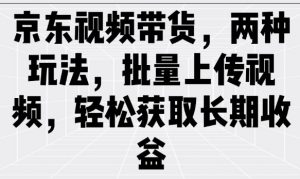 京东视频带货,两种玩法,批量上传视频,轻松获取长期收益-互联网资源大全网