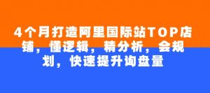 4个月打造阿里国际站TOP店铺,懂逻辑,精分析,会规划,快速提升询盘量-第一资源库