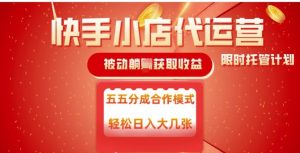 快手小店代运营，被动躺Z收益，收益五五分，单日稳定变现五张【揭秘】-第一资源库