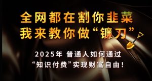 全网都在割你韭菜,我来教你做镰刀,2025年普通人如何通过 知识付费 实现财F自由【揭秘】-互联网资源大全网