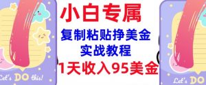 复制粘贴挣美金,0门槛,1天收入95美刀,3分钟学会,内部教程(首次公开)-互联网资源大全网