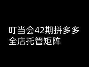 叮当会拼多多打爆班原创高阶技术第42期,拼多多全店托管矩阵-互联网资源大全网