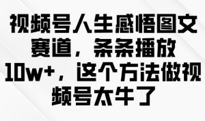 视频号人生感悟图文赛道,条条播放10w+,这个方法做视频号太牛了-互联网资源大全网