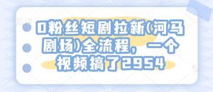 0粉丝短剧拉新(河马剧场)全流程，一个视频搞了2954-互联网资源大全网