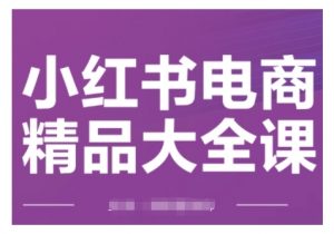 小红书电商精品大全课,快速掌握小红书运营技巧,实现精准引流与爆单目标,轻松玩转小红书电商(更新2月)-互联网资源大全网