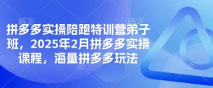 拼多多实操陪跑特训营弟子班,2025年2月拼多多实操课程,海量拼多多玩法-互联网资源大全网