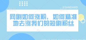 网剧如何涨粉，如何精准地去涨我们的短剧粉丝-互联网资源大全网