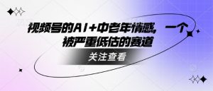 视频号的AI+中老年情感,一个被严重低估的赛道-互联网资源大全网