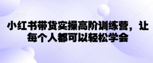 小红书带货实操高阶训练营,让每个人都可以轻松学会-互联网资源大全网