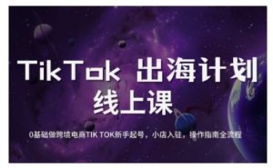 TikTok跨境电商新手起号与运营全攻略，0基础做跨境电商TIKTOK新手起号，小店入驻，操作指南全流程-互联网资源大全网