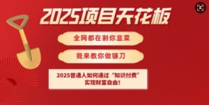 2025项目天花板普通人如何通过知识付费,实现财F自由【揭秘】-互联网资源大全网