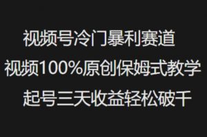 视频号冷门暴利赛道视频100%原创保姆式教学起号三天收益轻松破千-互联网资源大全网