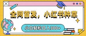 小红书种草,手机项目,日入3张,复制黏贴即可,可矩阵操作,动手不动脑【揭秘】-互联网资源大全网