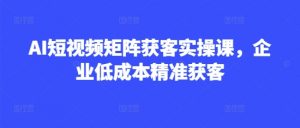 AI短视频矩阵获客实操课，企业低成本精准获客-互联网资源大全网