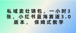 私域卖壮锦包,一小时3张,小红书蓝海赛道3.0版本, 保姆式教学-第一资源库