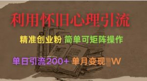 利用怀旧心理，引流创业粉，简单可矩阵操作，单日引流200+，月变现过W-互联网资源大全网