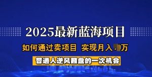 2025蓝海项目,普通人如何通过卖项目,实现月入过W,全过程【揭秘】-互联网资源大全网