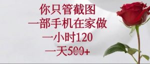 你只管截图，一部手机在家操作，一小时120.一天5张【揭秘】-互联网资源大全网