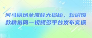 河马剧场全流程大揭秘,短剧爆款精选同一视频多平台发布实操-第一资源库