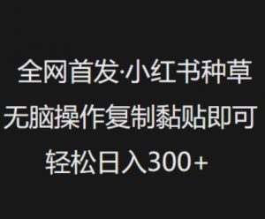 全网首发，小红书种草无脑操作，复制黏贴即可，轻松日入3张-互联网资源大全网