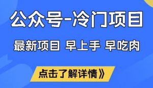 公众号冷门赛道,早上手早吃肉,单月轻松稳定变现1W【揭秘】-第一资源库