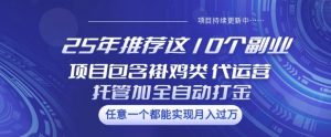 25年推荐这10个副业项目包含褂鸡类、代运营托管类、全自动打金类【揭秘】-互联网资源大全网