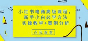 小红书电商高级课程,新手小白必学方法,实操教学+案例分析-互联网资源大全网